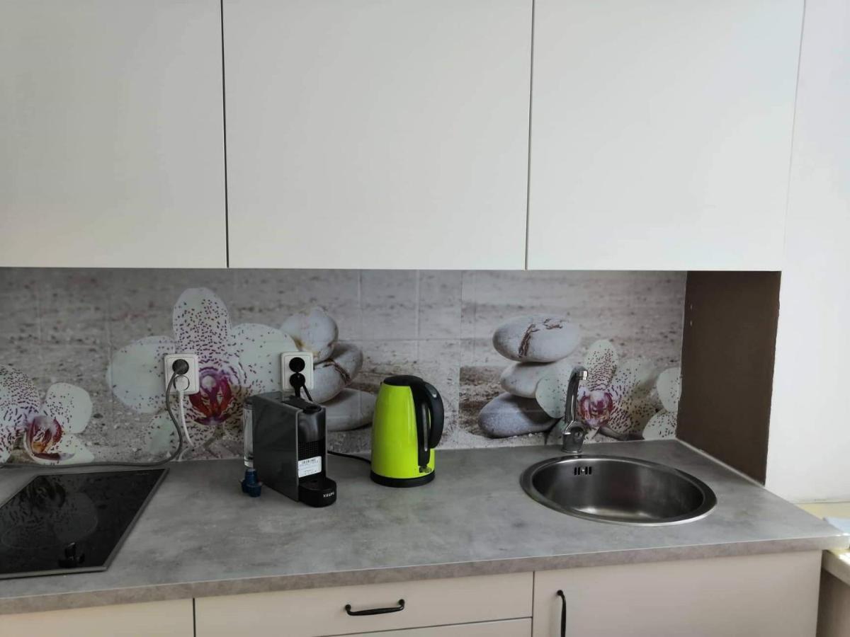 Apartia Krenova 31, Brno-Center Ngoại thất bức ảnh